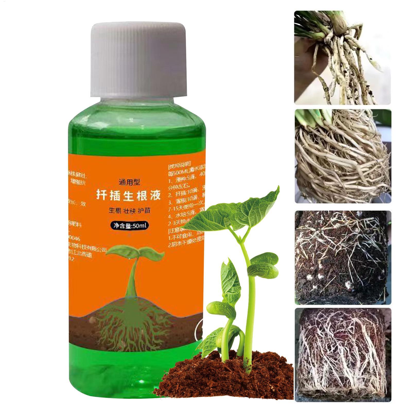 Root Stimulator Liquid - 50ml Transplanting Nutrient Solution Plant Rapid
