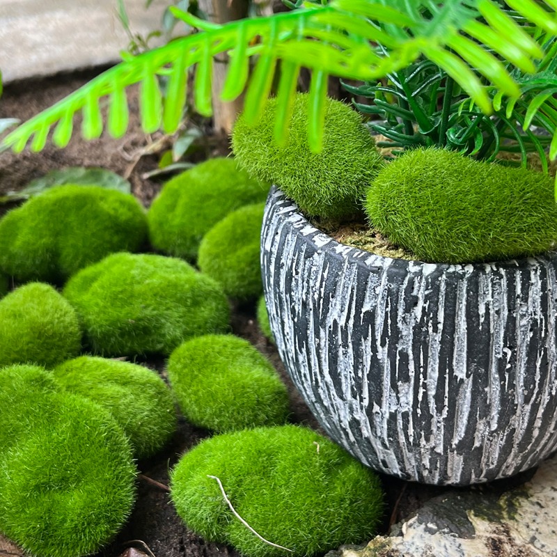 100/5PCS Artificial Moss Rock  - Sphagnum Moss Dry 评论和价格