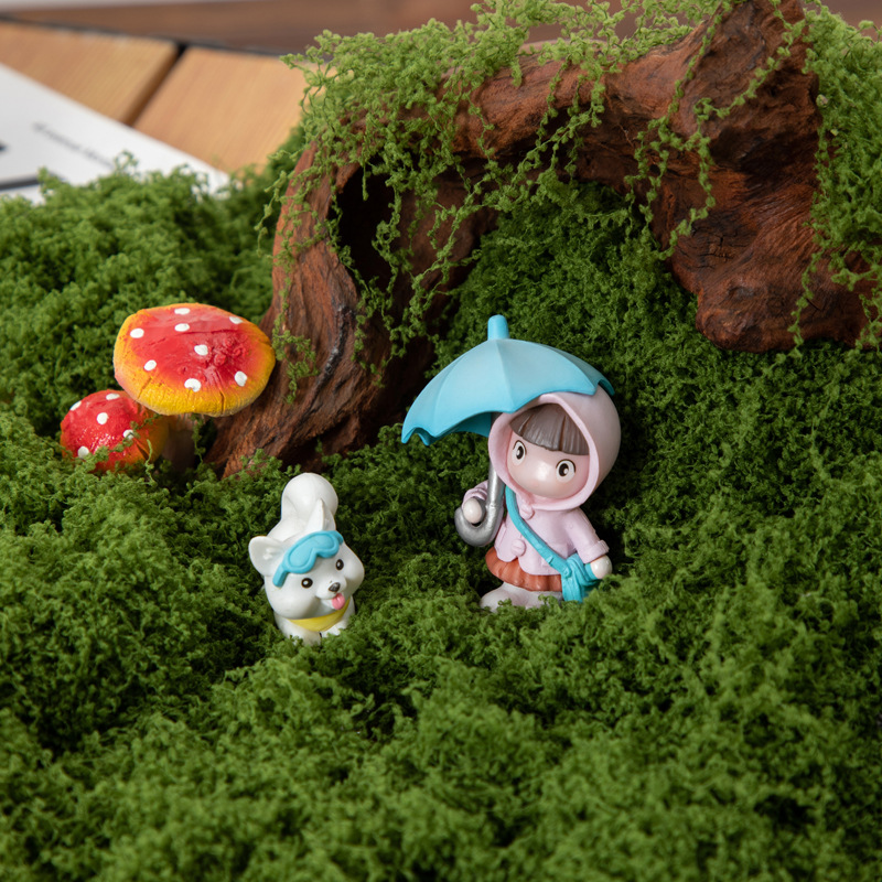 200g Eternal Life Moss DIY Cra - Sphagnum Moss Dry 评论和价格
