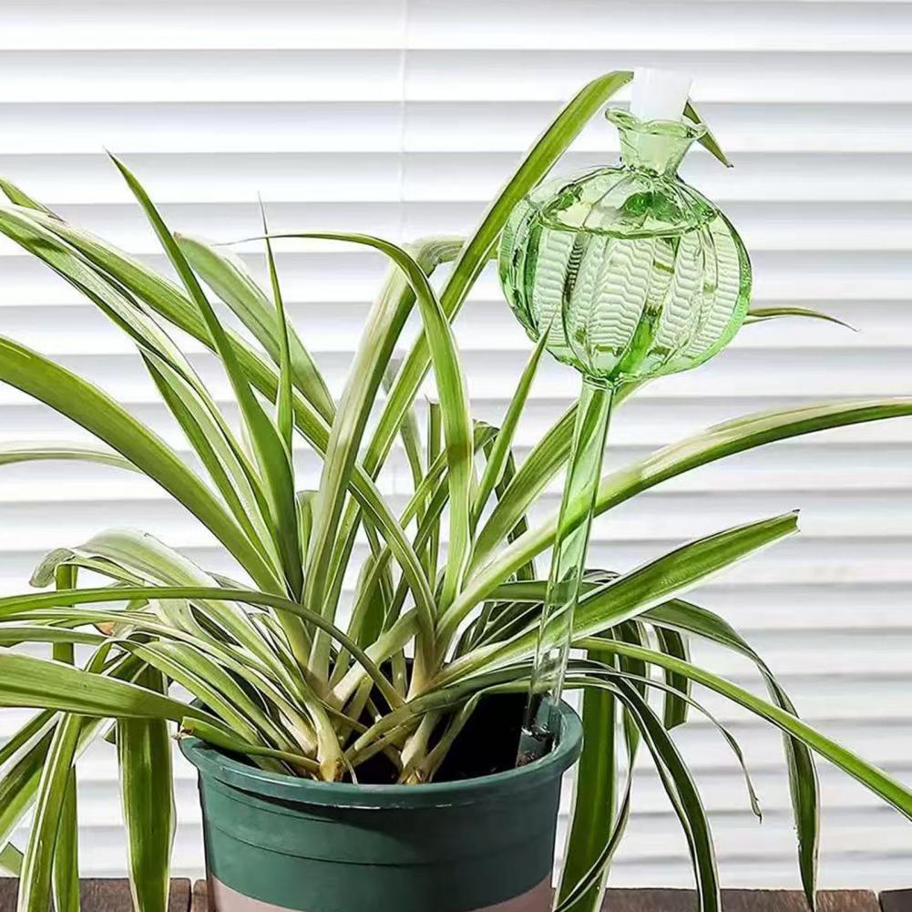 24cm Cactus Self Watering Bulb - Self Watering Insert 评论和价格