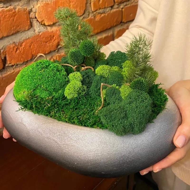 Artificial Green Moss Fake Mos - Sphagnum Moss Dry 评论和价格