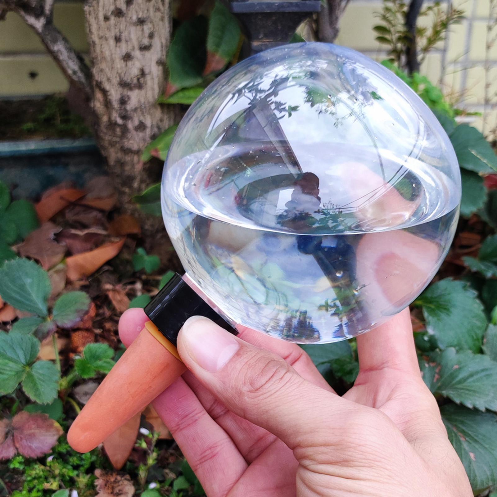 500ml Automatic Plant Watering - Self Watering Insert 评论和价格
